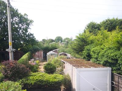 Picture 9